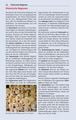 Thumbnail-14