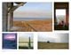 Thumbnail-11