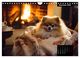 Thumbnail-14