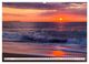 Thumbnail-8