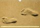Thumbnail-11