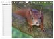 Thumbnail-14