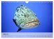 Thumbnail-8