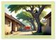Thumbnail-7