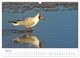 Thumbnail-11