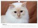 Thumbnail-10