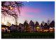 Thumbnail-14