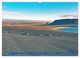 Thumbnail-10
