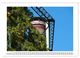 Thumbnail-13