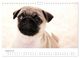 Thumbnail-13