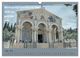 Thumbnail-8