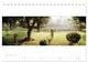 Thumbnail-13