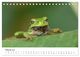 Thumbnail-7