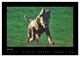 Thumbnail-11