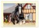 Thumbnail-11