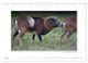 Thumbnail-9