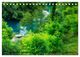 Thumbnail-9