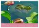 Thumbnail-11