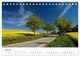 Thumbnail-12