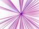 Thumbnail-11