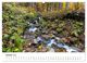 Thumbnail-11