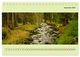 Thumbnail-11