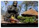 Thumbnail-13