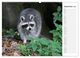 Thumbnail-14