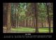 Thumbnail-10