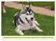 Thumbnail-9