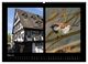Thumbnail-10