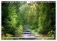 Thumbnail-11