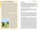 Thumbnail-10