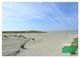 Thumbnail-11