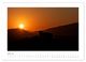 Thumbnail-9
