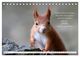 Thumbnail-10
