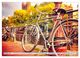 Thumbnail-11