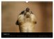 Thumbnail-10
