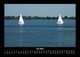 Thumbnail-11