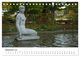 Thumbnail-14