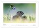 Thumbnail-10