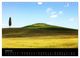Thumbnail-11
