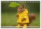 Thumbnail-13