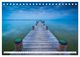 Thumbnail-11
