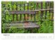 Thumbnail-13