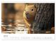 Thumbnail-9