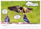 Thumbnail-13