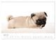 Thumbnail-9