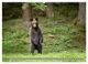 Thumbnail-9