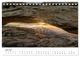 Thumbnail-11
